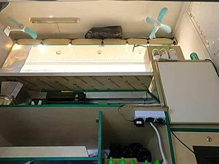 Intriguing View of Pink Skirt at Work with Hidden Camera