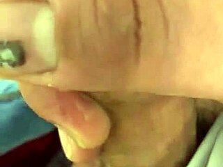 Pekeshow1620 - update 14 - e6b3ec9b-3b2d-41e4-8e34-004934bf06b7 - mar 05 2025