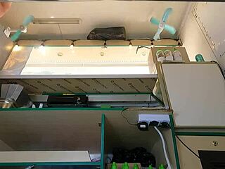 Intriguing View of Pink Skirt at Work with Hidden Camera