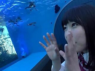 i cant believe this full version of japanese amateur blowjob and facial... its so intensee