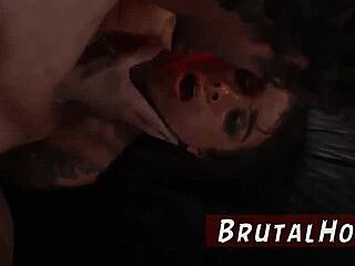 petite shaved teen 18+ hints at extreme bdsm domination with youthful tourists felicity feline and more