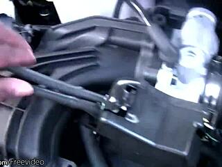 Chubby Ebony Shemale Displays Large Rear And Handles Personal Tool Outdoors