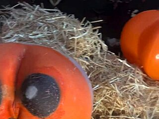 teen gets double creampie. it happens in pumpkin patch with big cock pounding.