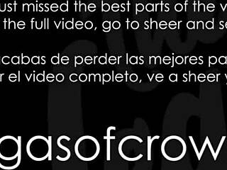 She was thrilled with the ice cream surprise. So the curvy Colombian girlfriend rewarded me with a passionate POV blowjob and cum swallow in bed.