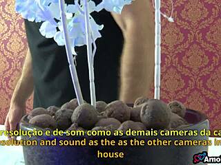 oh my god, my wife and this hung nephew with his massive cock - part 3