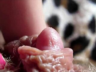 Big clit orgasm in closeup HD