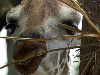 Hey, ever wondered about those 5 reasons girls don't cum during wet pussy licking? 😏