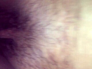 exploring amateur adventures in três barras