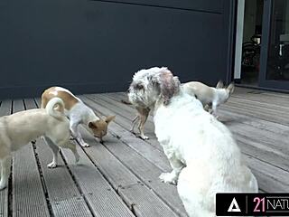 Hey Akira May, wanna please your man by riding and sucking his big hard cock passionately?