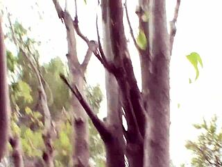 Brenda James and Alyssa Reece lick pussies and finger tight slits