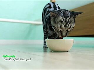 Welcome To Free Will Episode 60 Erotic Adventure