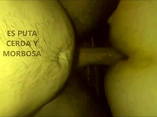 Hey, mature argentinian madura lulu, you coming to suck dick and give up that ass until it's wide open?