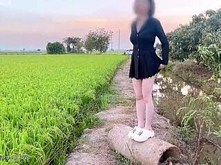 young couples doin sex in rice field