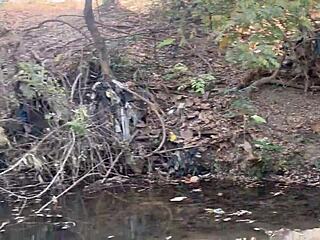 outside on the ranch, this shy ebony babe gets bent over for rough doggystyle in a quickie threesome with big black cocks