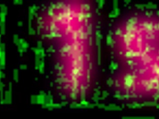 Ditria Rose experiences her first gyno exam. She spreads wide for close-up fingering and anal play in gloves.