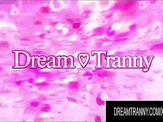 Amateur Tranny Imola Castro Rams Massive Dildo Up Tight Asshole Solo