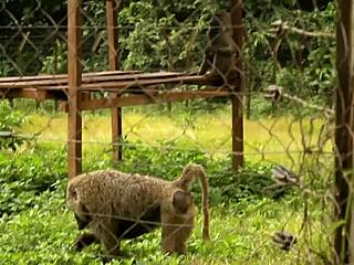 hey, what if we explore hidden spots in this park together?