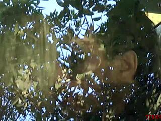 Ash Hollywood rims time-travel fantasy before facial blast