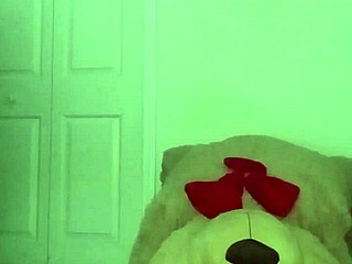 stretching turns playful like zodiac critters with toy bear