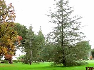 Ash Hollywood rims time-travel fantasy before facial blast