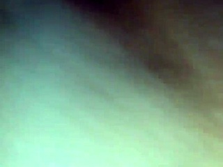 Decadent Chocolate Cream Pie Delight