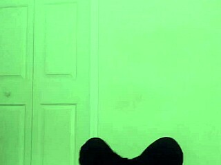 stretching turns playful like zodiac critters with toy bear