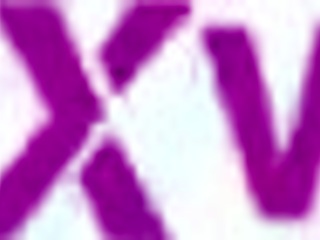 jazmine white fucked hard public glamping 1on1 big cock