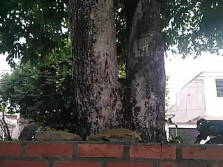 म्यूचुअल मास्टरबेशन