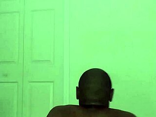 stretching turns playful like zodiac critters with toy bear