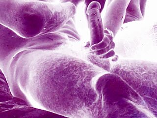 discover steamy vintage erotic art vibes retro hairy antique 🔥🎨