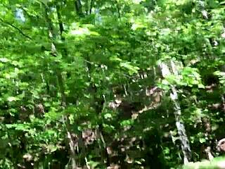 forest flashing hairy pussy solo outdoor orgasm update 🌳💦😍