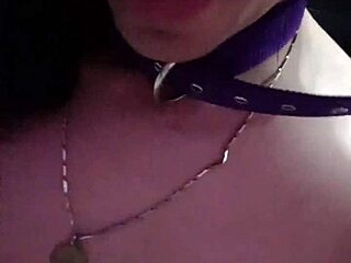 dig shery's natural ladyboy nude video collection?