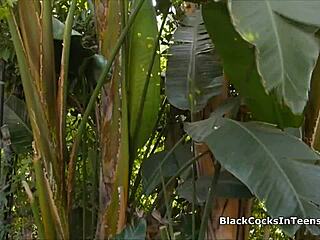 i watch my gf slurp his massive bbc cheating thrill