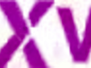 mina hardcore rough anal squirt piss drink balls deep!