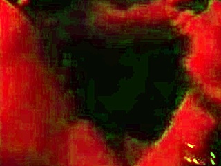 Paid for All-Night Blowjob on MILF's Big Pussy!