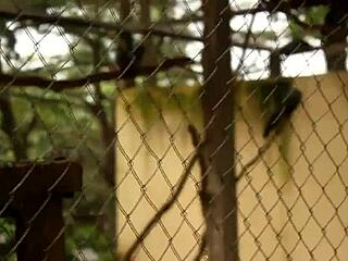 Huge Cock Fills Tourist's Mouth and Tight Ass in Public Park