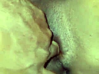 i cant resist... cummin on my gfs drippin huge pussy lips