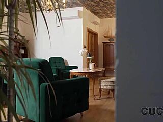 cuckold films wife’s stockings ripped by stranger’s eager thrust