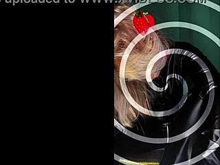 slip my used panties on under work clothes jerk off now bimbo