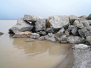 milf hairy pussy pissing sea compilation outdoors 🌊💦