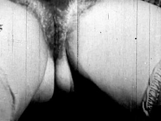 Dark lantern unleashes two centuries of wild vintage milf porn!