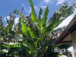 hey, wanna watch this petite african teen ride monster black cock outdoors?