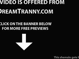 brunette shemale takes creampie in steamy threesome